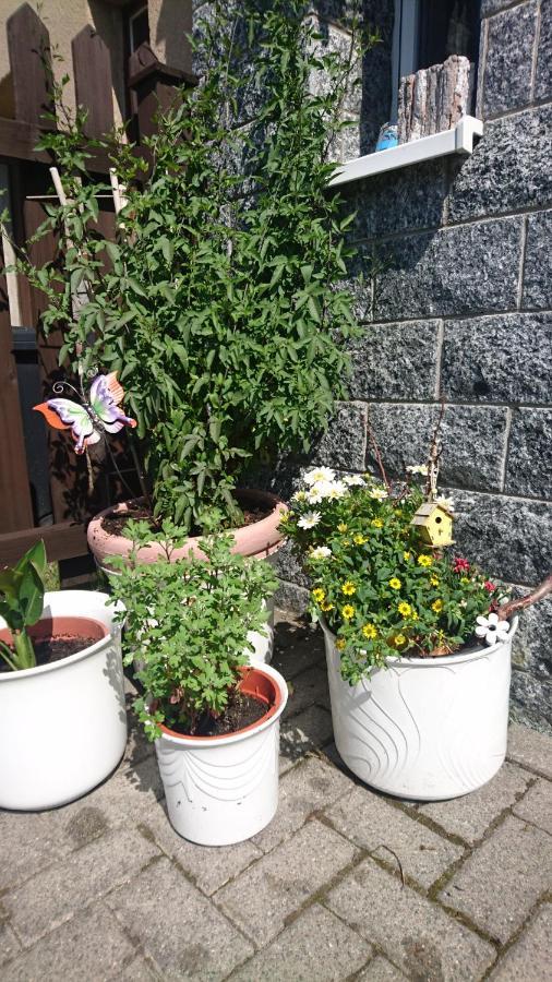 Ferienwohnung Mit Garten Und Spielplatz 克林根塔尔 外观 照片